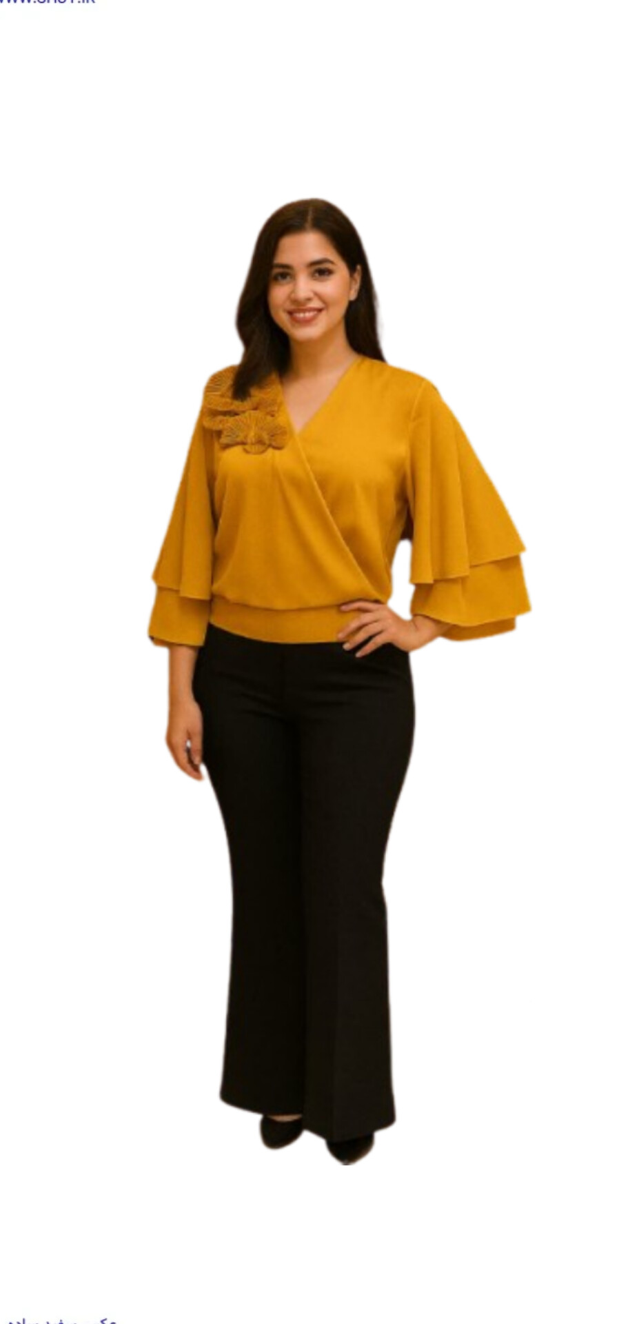 شومیز حلزونی